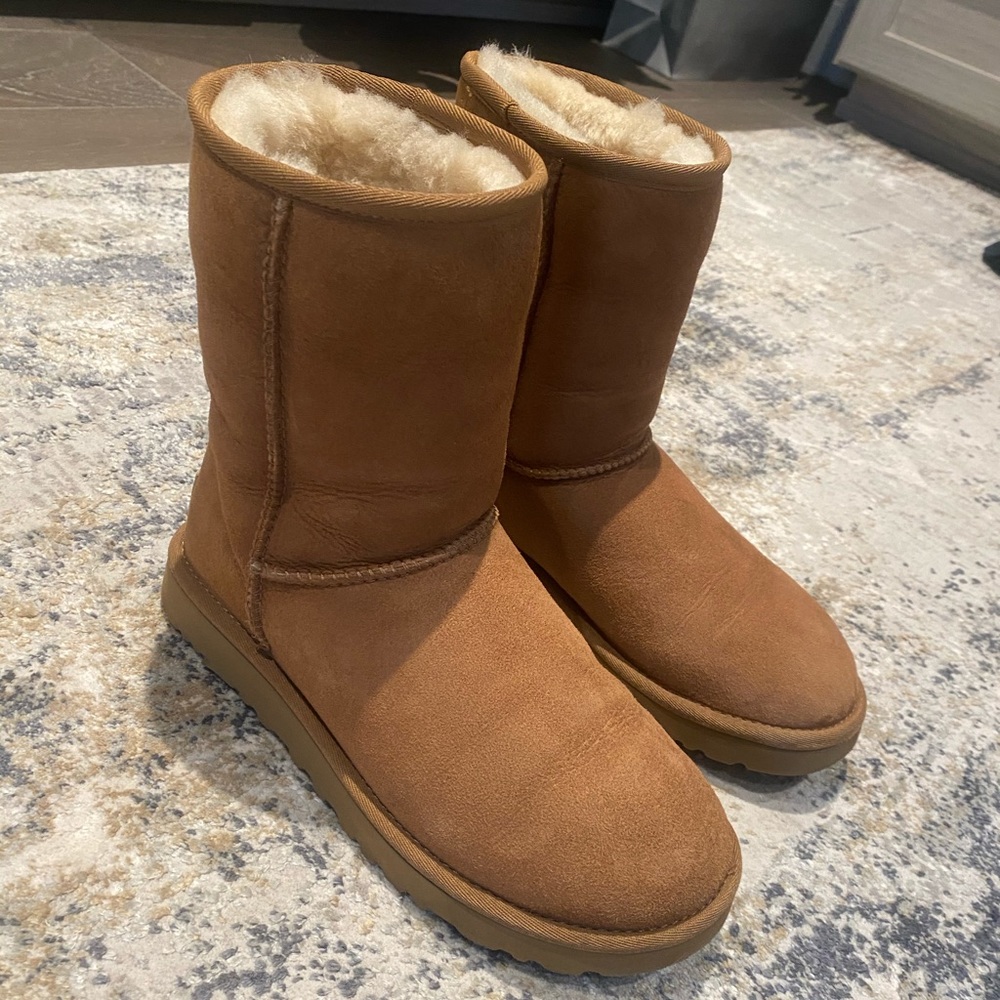 Short Chestnut Uggs Size 8